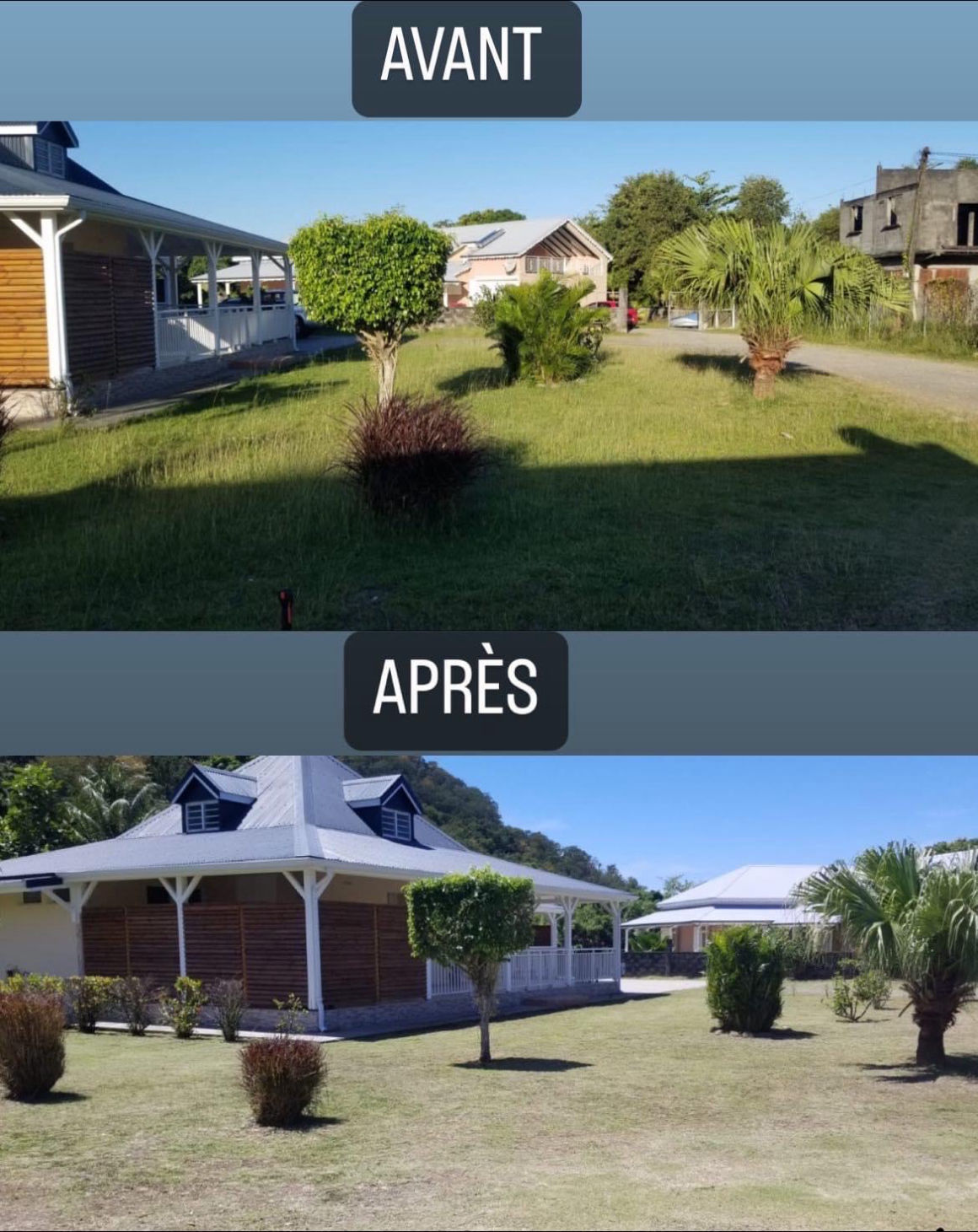 3S solution services espaces verts entretien guadeloupe tondeuse débroussailleuse herbe